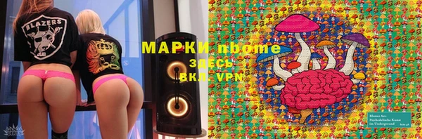шишки Пестово